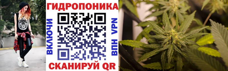 Купить наркоту Нижнеудинск Гашиш  Бошки Шишки  A PVP  Меф  Кокаин 