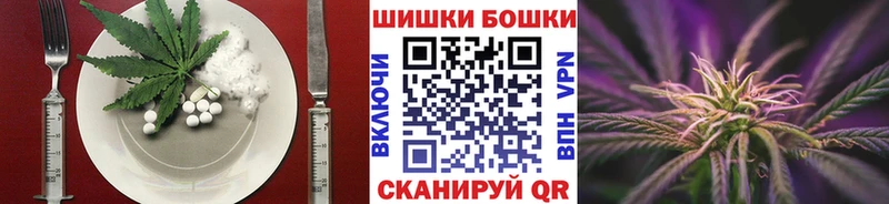 Canna-Cookies марихуана  цены   Нижнеудинск 