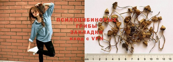 скорость Алексеевка