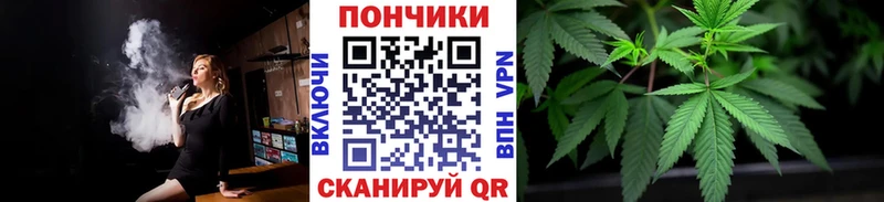shop состав  Нижнеудинск  Бошки марихуана OG Kush  где купить наркотик 